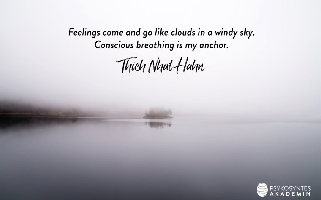 Feelings come and go like clouds in a windy sky.